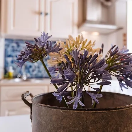 Apartamento Casa Amarela *